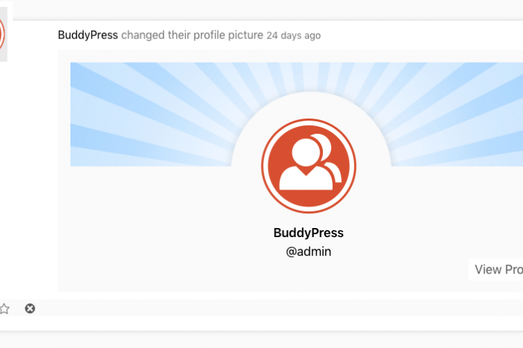 Example of Buddy Press logging activities