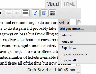 After the Deadline Screenshot
