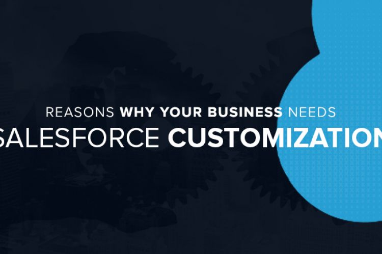 Salesforce Customization