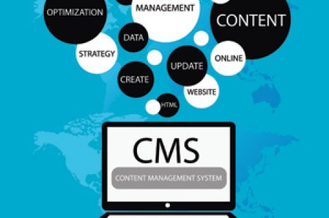 CMS Ingredients
