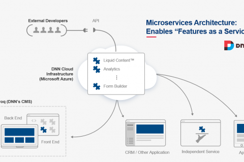 DNN Features as a Service