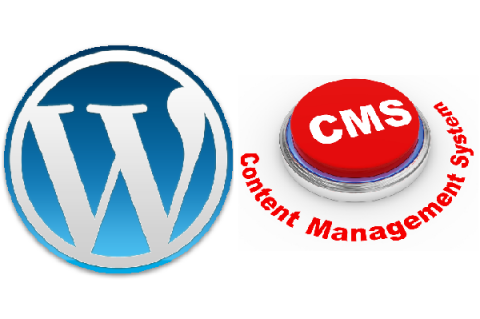 WordPress and Content Management System