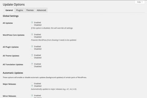 Automatic Updates - Wordpress