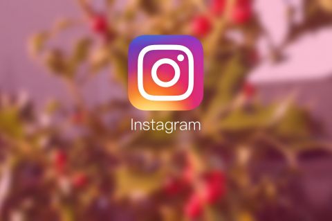Improve Fan Following on Instagram