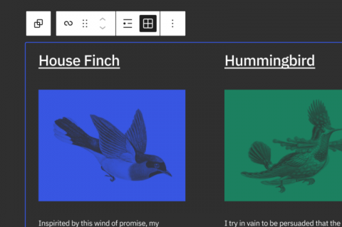 Image Source: WordPress.org Example of Full Site Editing in the WordPress Twenty Twenty-Two theme