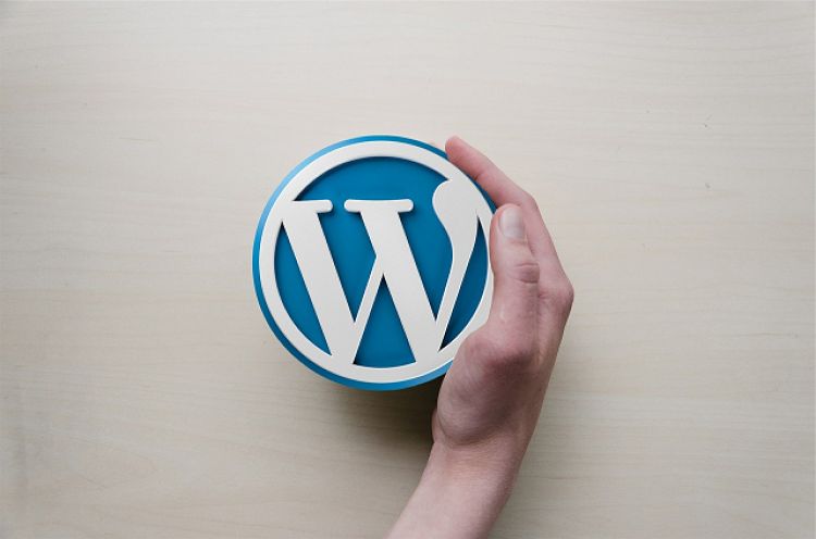 Hand pushing WordPress logo aside