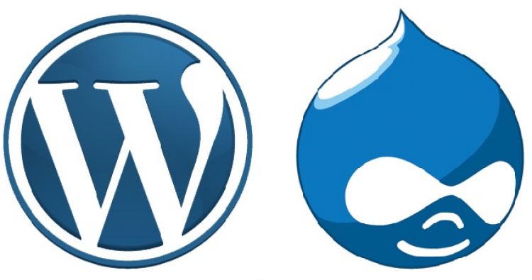 WordPress and Drupal Icons