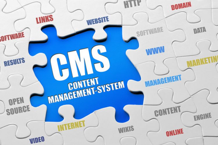 CMS Puzzle