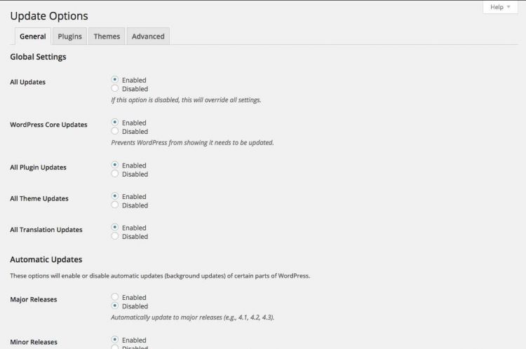 Automatic Updates - Wordpress